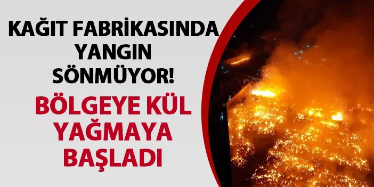 Kağıt fabrikasında yangın sönmüyor! Bölgeye kül yağmaya başladı