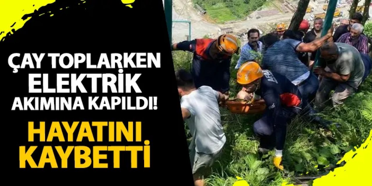 Rize'de çay toplarken elektrik akımına kapıldı! Hayatını kaybetti