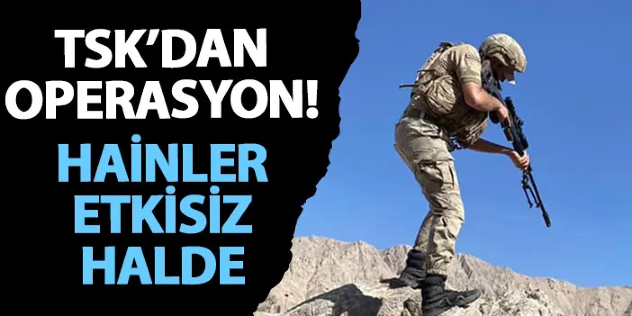 TSK’dan operasyon! Hainler etkisiz halde