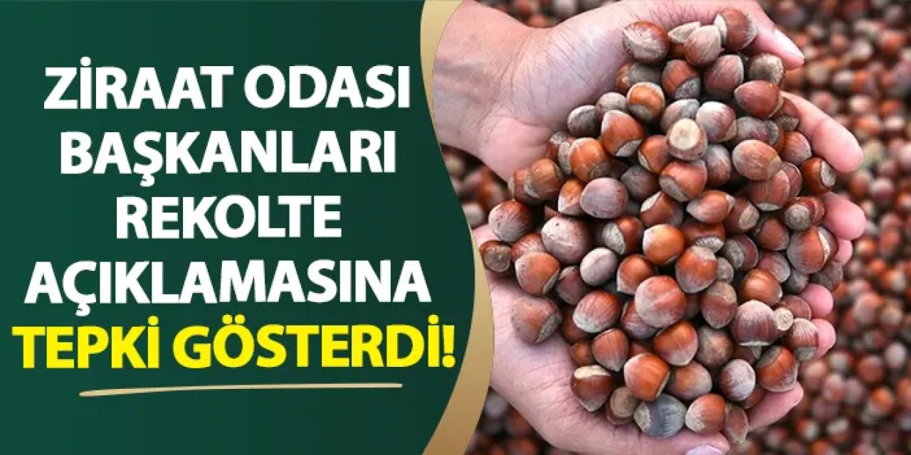 Giresun’da ziraat odası başkanları rekolte açıklamasına tepki gösterdi!