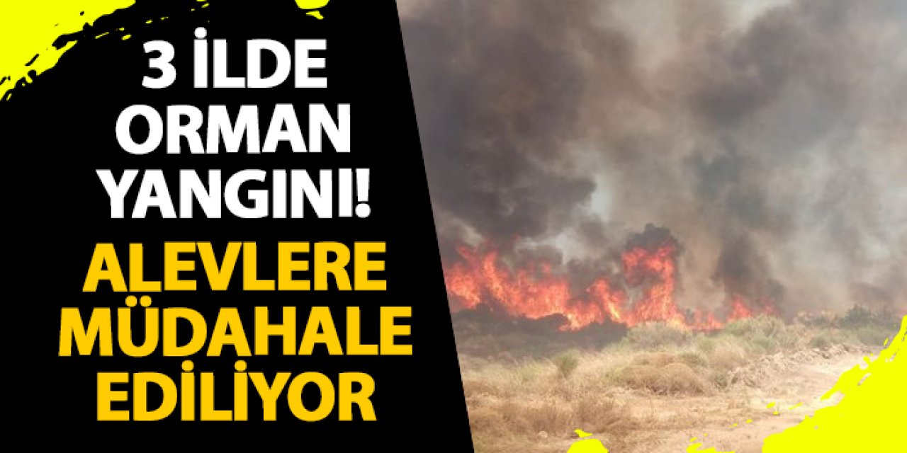 3 ilde orman yangını! Alevlere müdahale ediliyor
