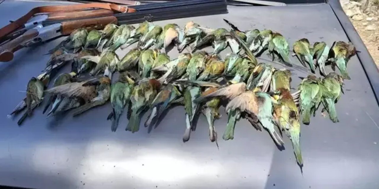 Koruma altına alınmıştılar! Kaçak avcılar katletti