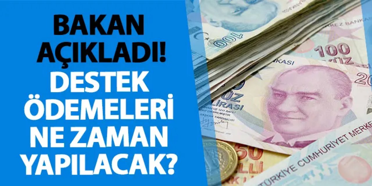 Bakan açıkladı! Destek ödemeleri ne zaman yapılacak?