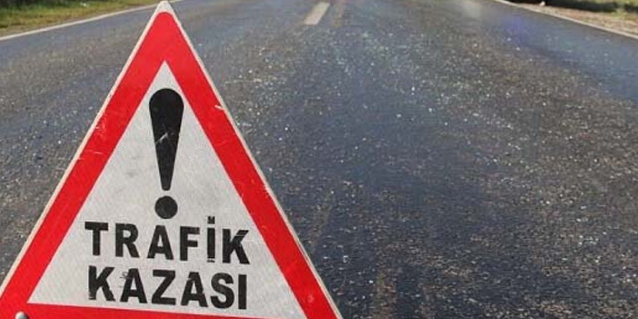 Rize'de çay bahçesine araç devrildi!