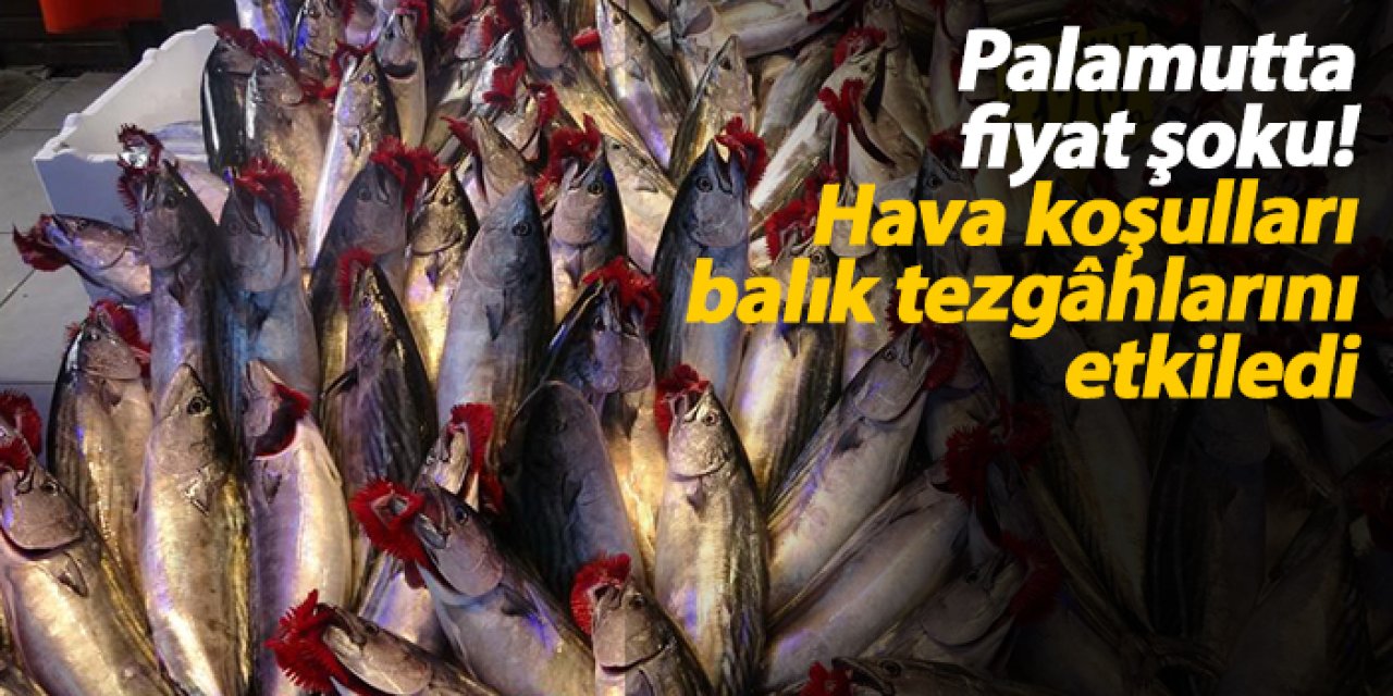 Palamut fiyatları yükseldi! Hava muhalefeti tezgâhları vurdu
