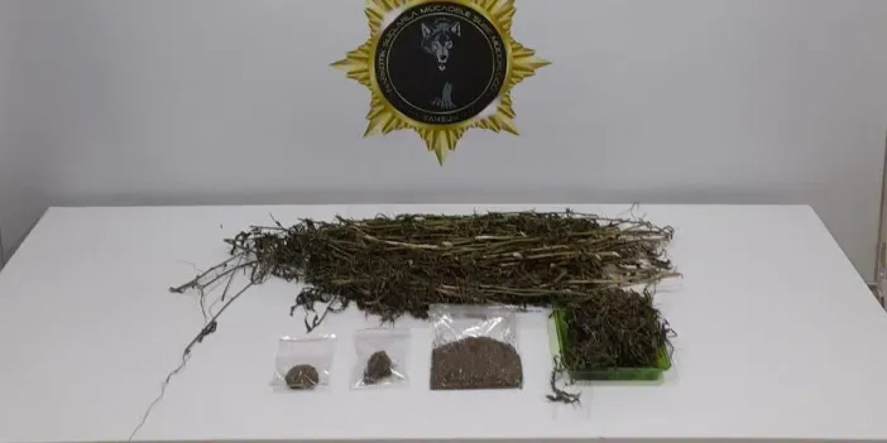 Samsun Çarşamba’da Uyuşturucu Operasyonunda Esrar ve Tohum Ele Geçti