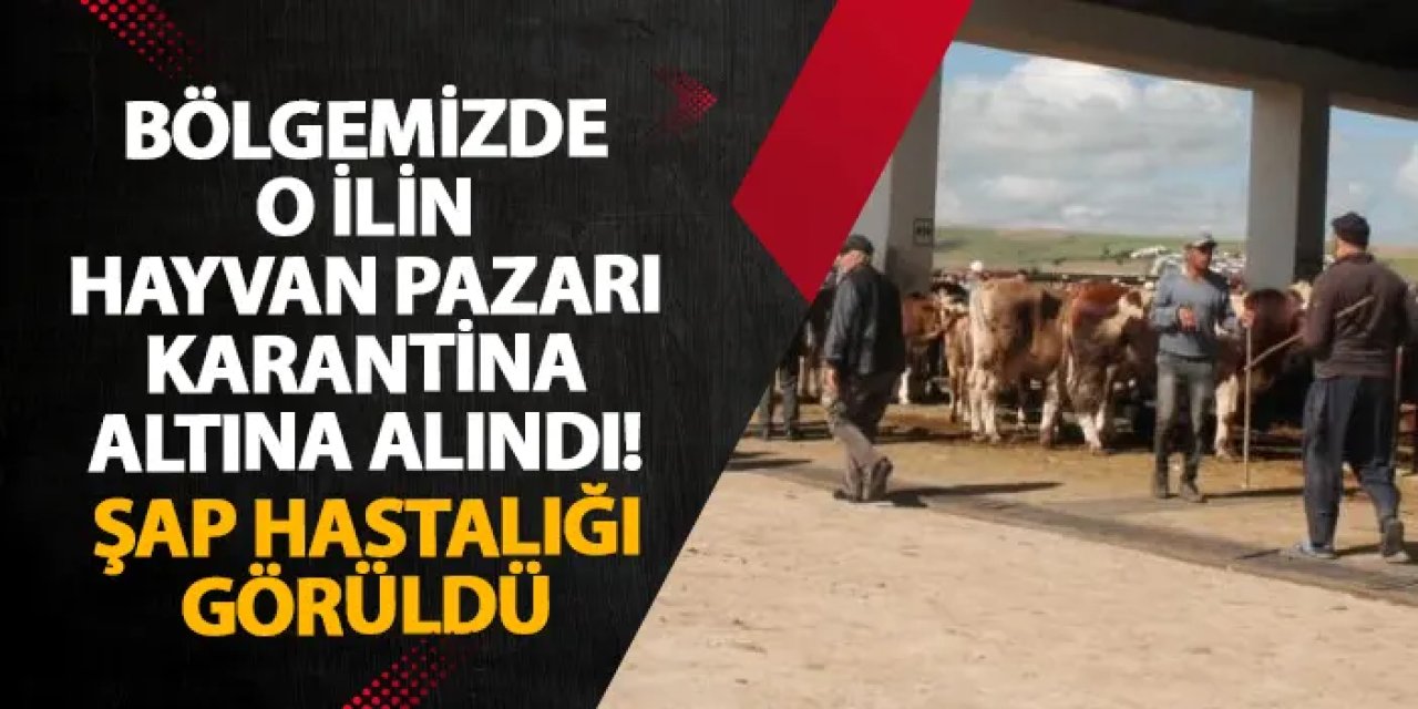 Bayburt’ta hayvan pazarı karantina altına alındı! Şap hastalığı görüldü