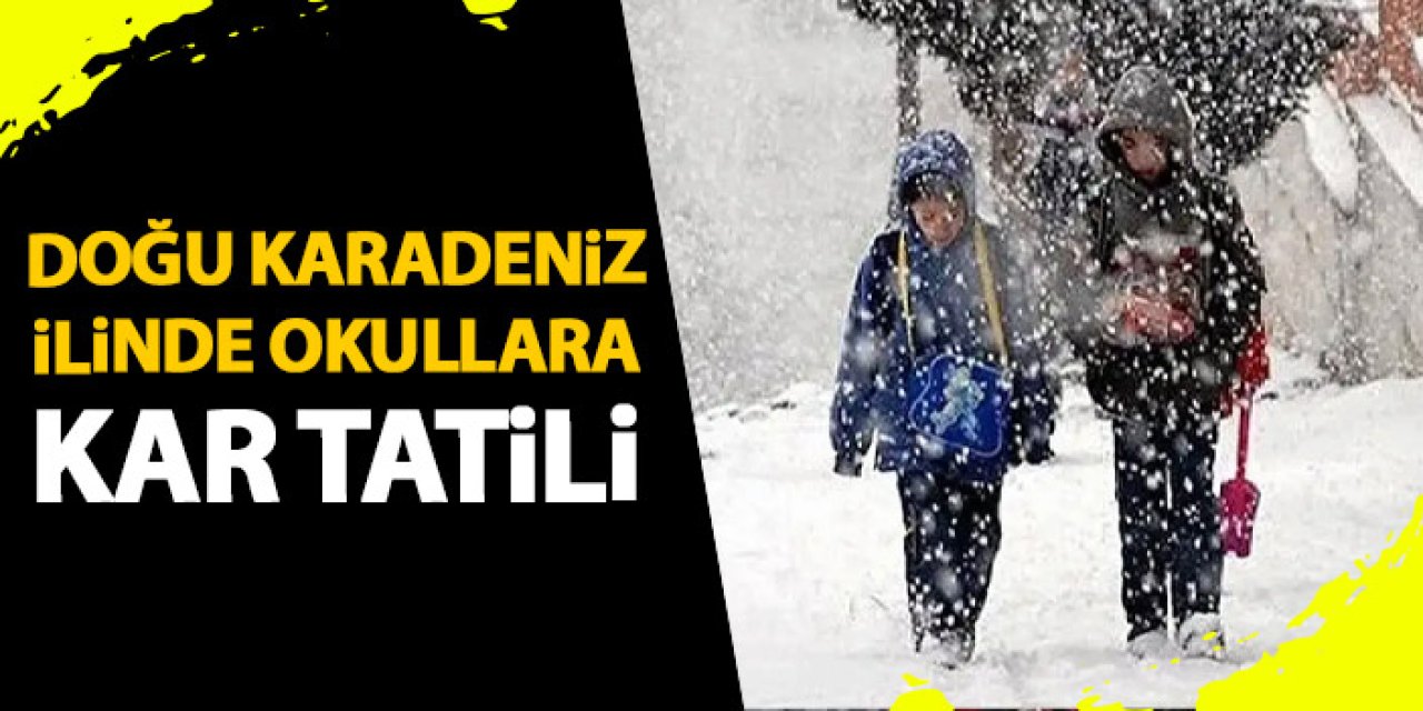 Artvin’de Yoğun Kar Yağışı Nedeniyle Eğitime Bir Gün Ara Verildi