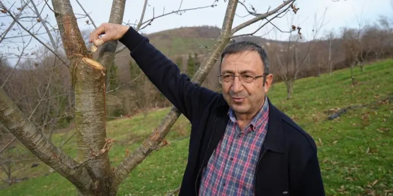 Samsun’da bitki araştırması! 500 bitkiden 35’i sağlam kaldı