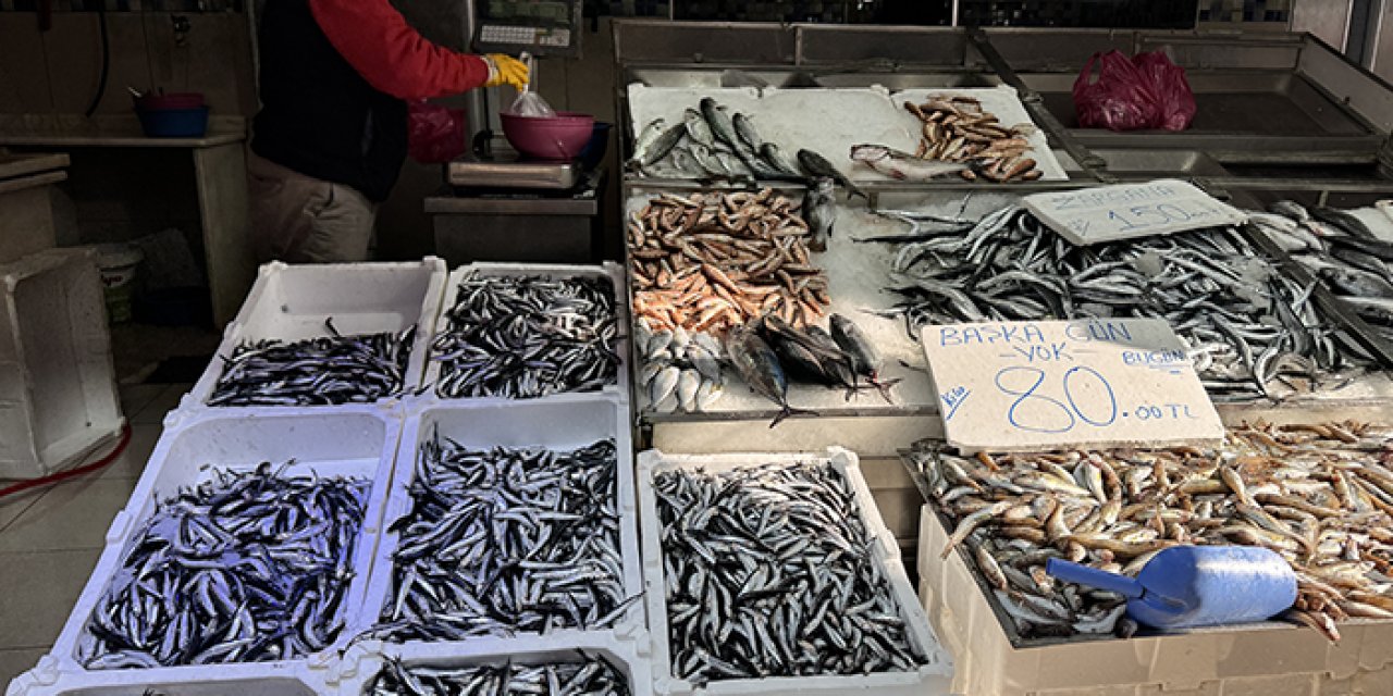 Karadeniz ilinde balık fiyatları düştü! Balıkçı da vatandaş da memnun
