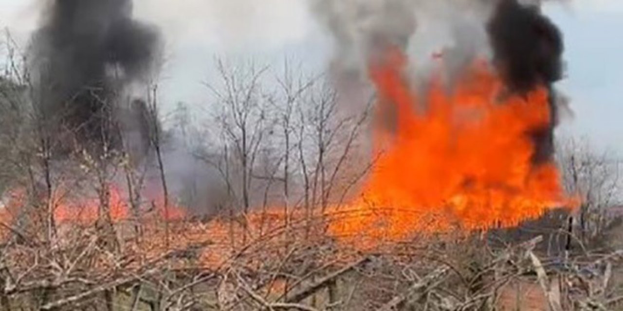 Ordu'da korkutan yangın: Büyük çaplı hasar!