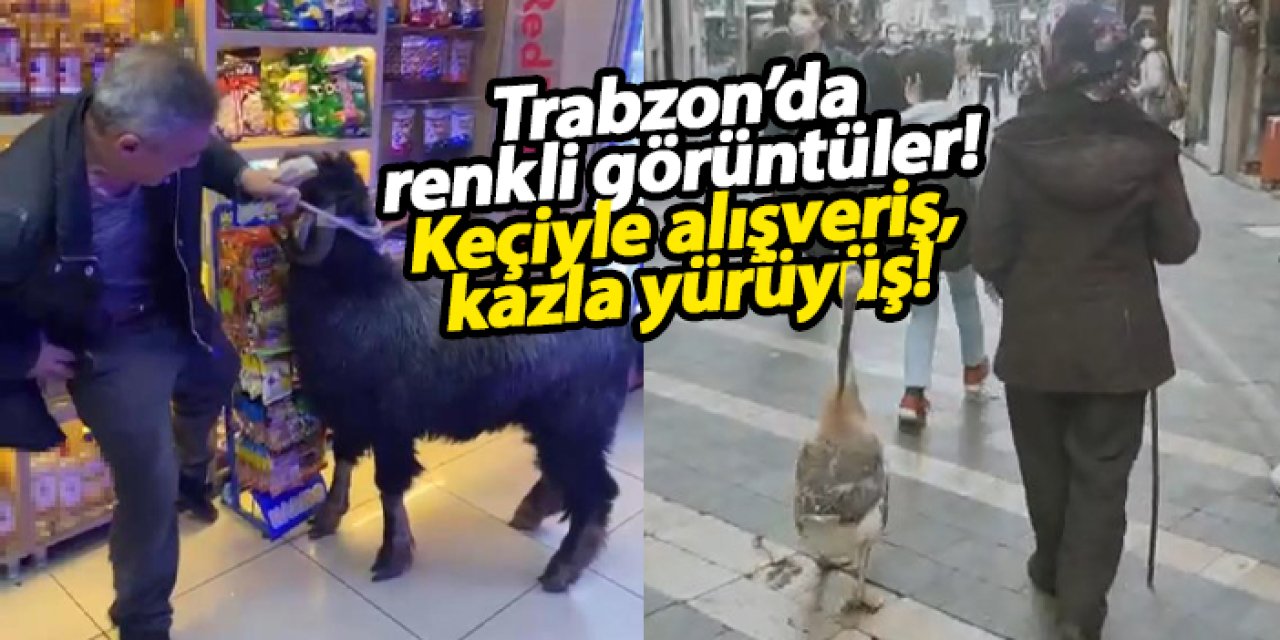 Doğu Karadeniz ve Trabzon’da renkli görüntüler: Keçiyle alışveriş, kazla yürüyüş!