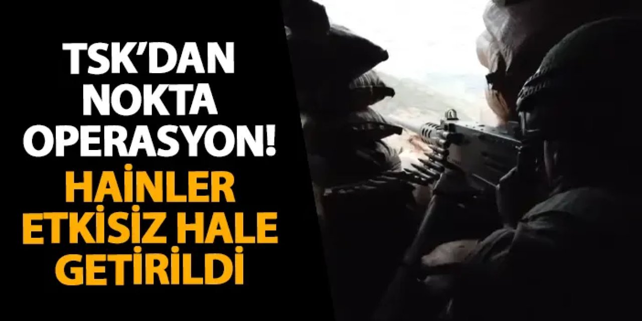 TSK’dan nokta operasyon! Hainler etkisiz hale getirildi