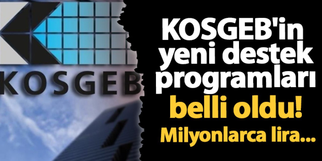 KOSGEB'in yeni destek programları belli oldu! Milyonlarca lira...