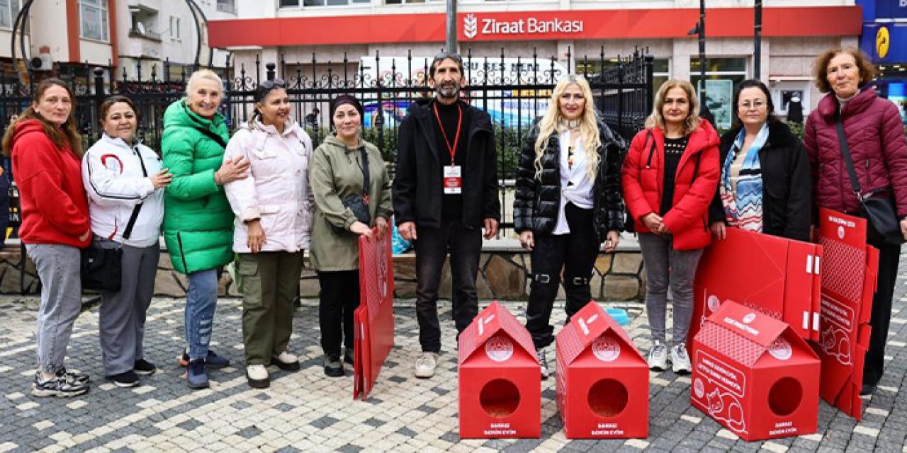 Giresun'da sokak hayvanlarına sıcak yuvalar: Kedi pansiyonları kuruldu
