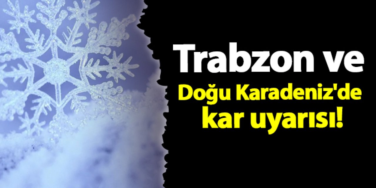 Trabzon ve Doğu Karadeniz'de kar uyarısı!