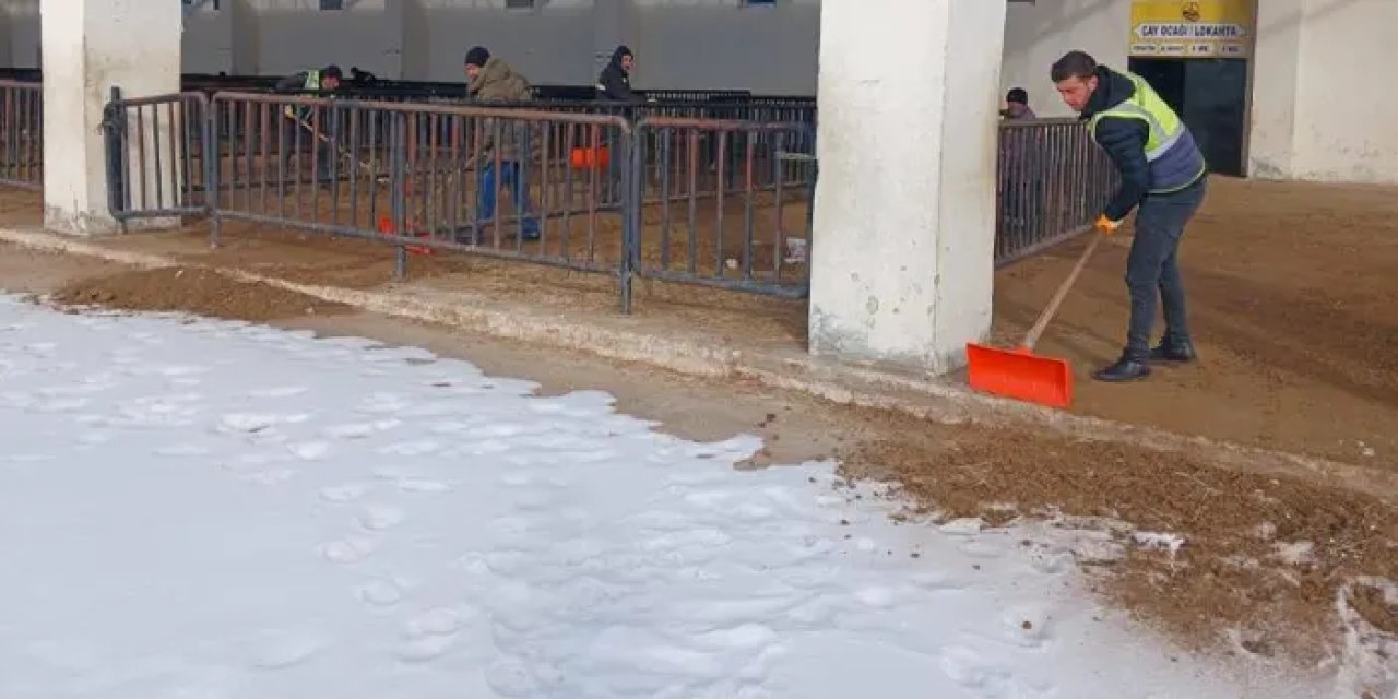 Bayburt’ta canlı hayvan pazarı açılıyor! Çalışmalar tamamlandı