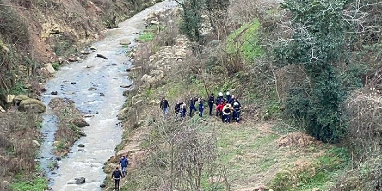 Ordu'da derede ağır yaralı bulunmuştu! Köpekten kaçmış...