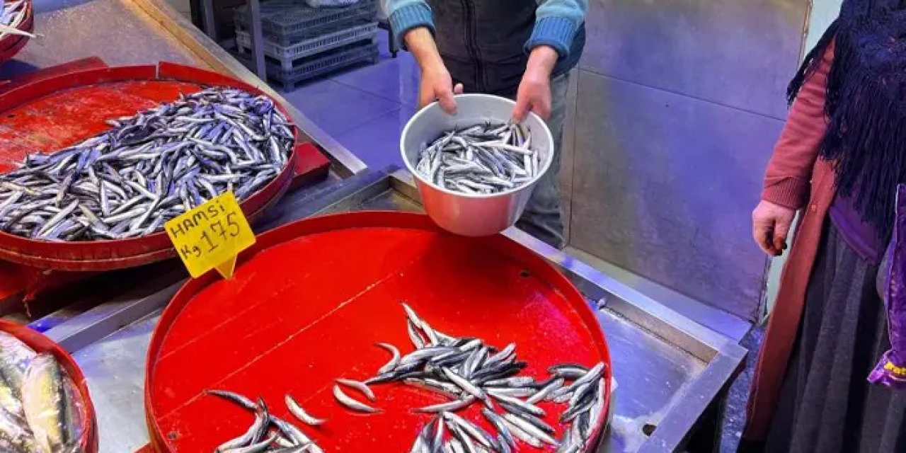Trabzon’da hamsi sezonu sona yaklaştı! Güncel balık fiyatları
