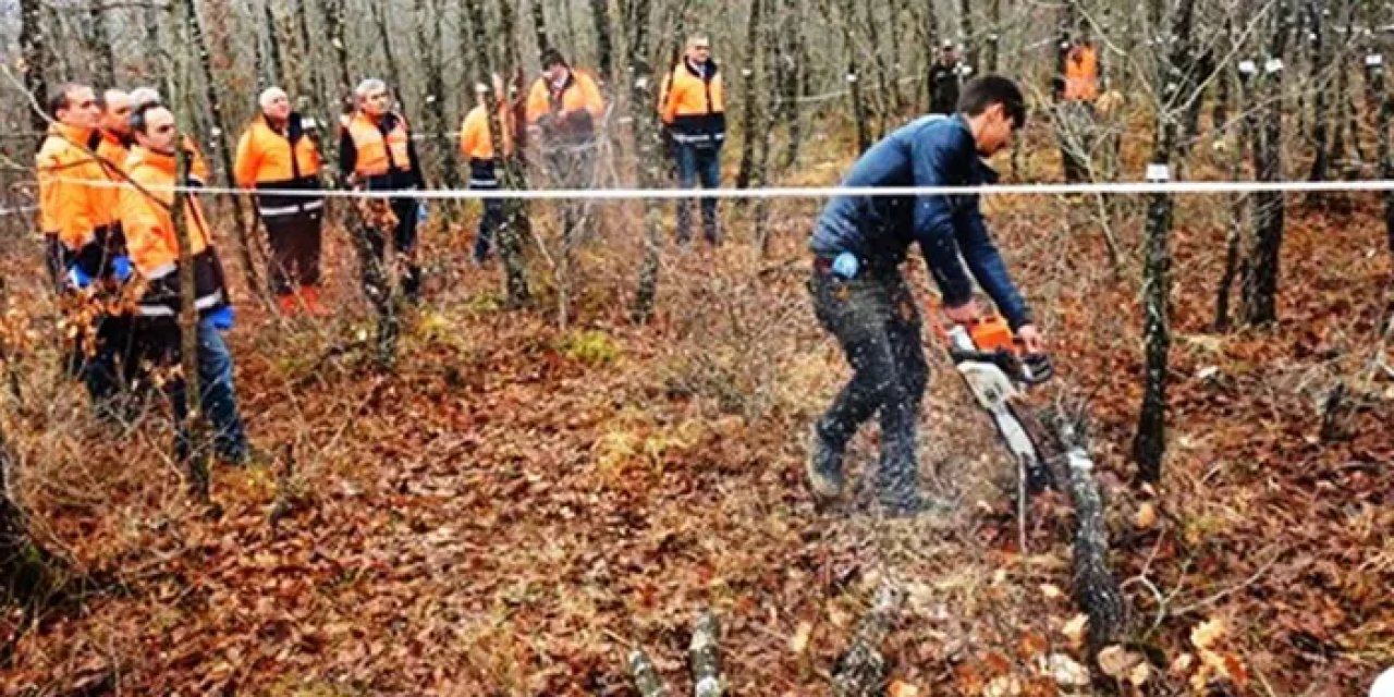 Samsun’da orman köylüsü odundan milyon TL kazandı