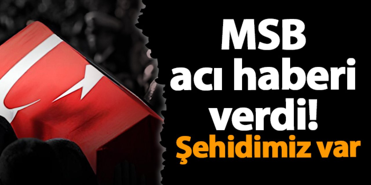 MSB acı haberi verdi! Şehidimiz var