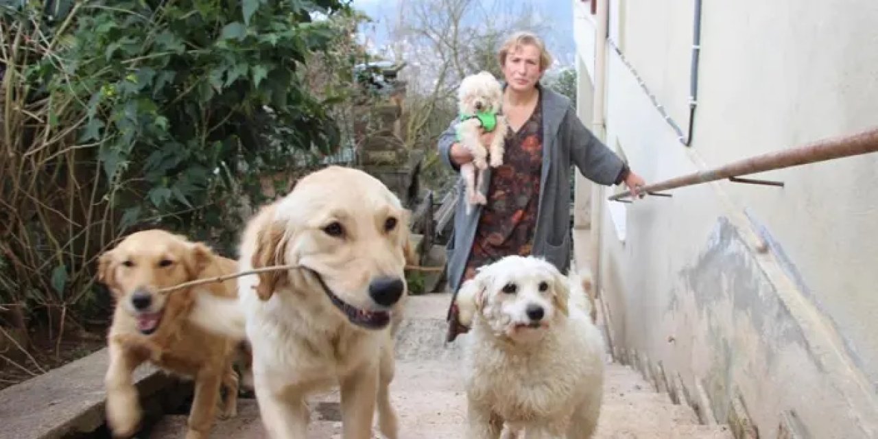 Trabzon'da hayatını onlara adadı! 35 köpeğe bakıyor