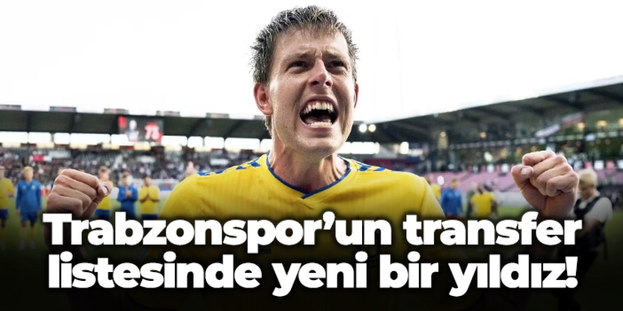 Trabzonspor'da Nicolai Vallys radara girdi!