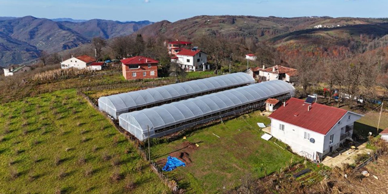 Ordu’da tarıma büyük destek: 36 bin metrekare sera naylonu üreticilerle buluştu