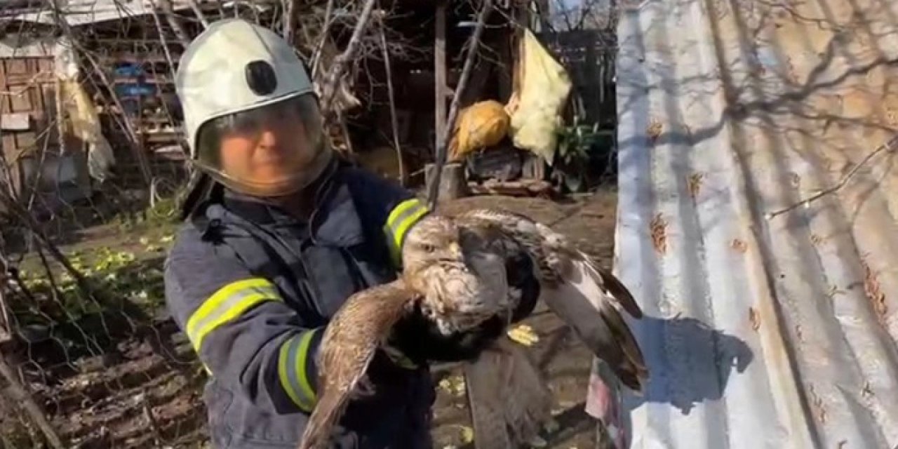 Ordu'da ekiplerin doğan mesaisi! Kümesten kurtarıldı