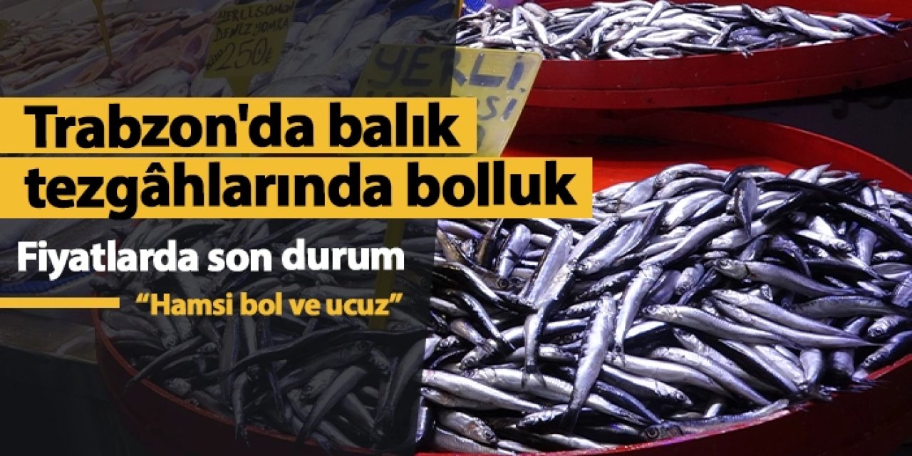 Trabzon'da balık tezgâhlarında bolluk: Hamsi, mezgit, istavrit, palamut, somon kaç lira?