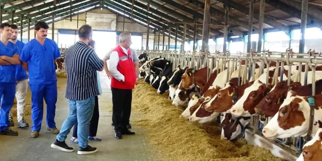 Samsun’da hayvancılık sektörüne milyonluk destek!