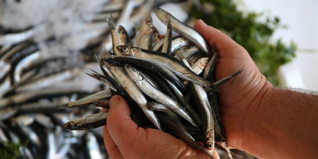 Ordu’da hamsi fiyatları zirvede: İşte balık tezgahlarında son durum