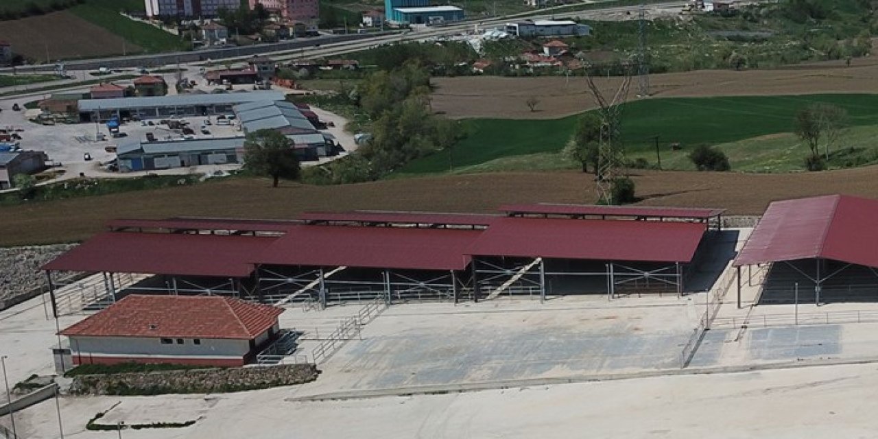 Samsun'da canlı hayvan pazarı tedbiren kapatıldı