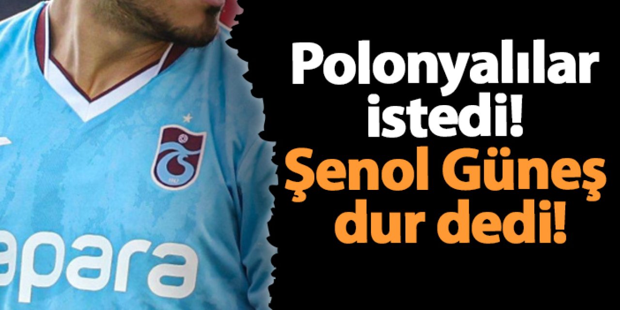 Polonyalılar istedi! Şenol Güneş dur dedi!