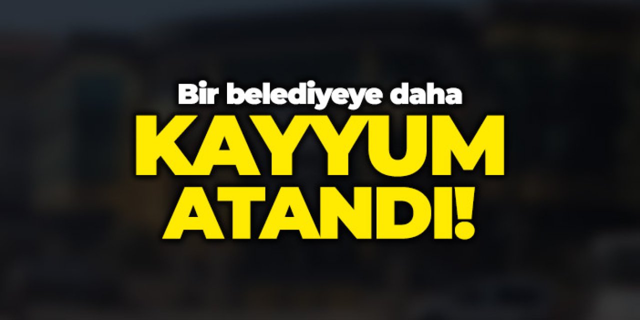 Siirt Belediyesi'ne kayyum atandı! Sofya Alağaş görevden uzaklaştırıldı