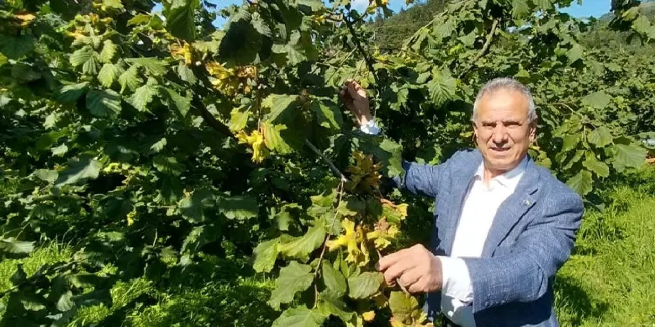 TTB Başkanı Ergan'dan işlenmeyen tarım arazilerine kiralama modeli önerisi