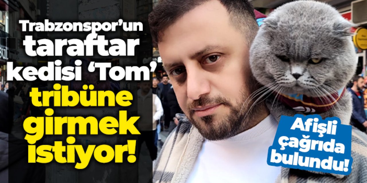 Trabzonspor’un taraftar kedisi ‘Tom’ tribüne girmek istiyor!