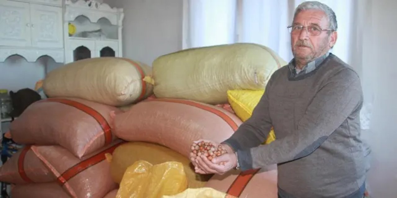 Ordu’da fındığının yüzde 15’i üreticinin evinde!