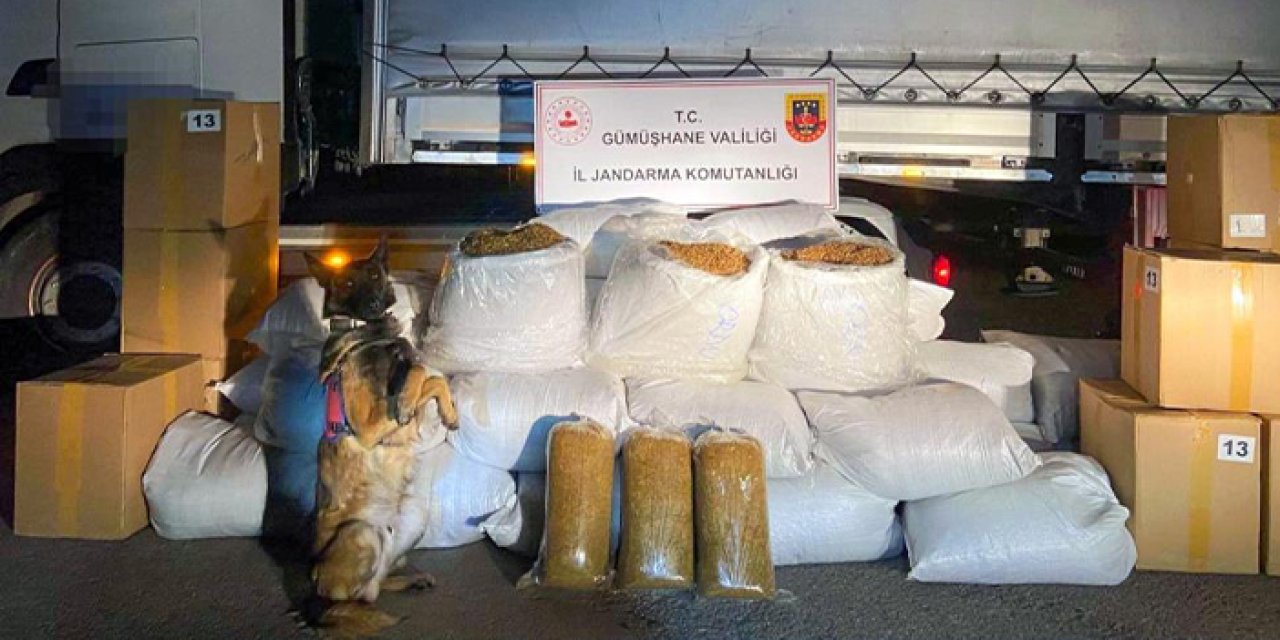 Gümüşhane’de jandarma operasyonu! 644 kilo kaçak tütün ele geçirildi
