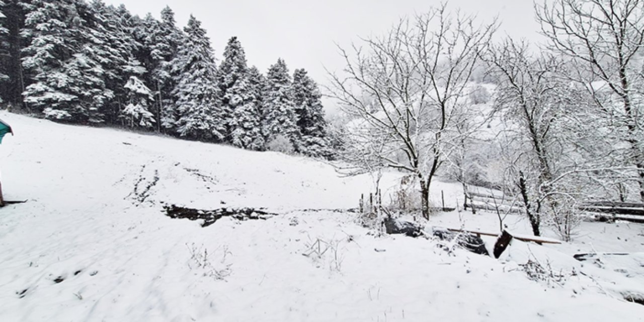 Samsun'da kar yağışı etkili oldu! Yüksek kesimler beyaza büründü