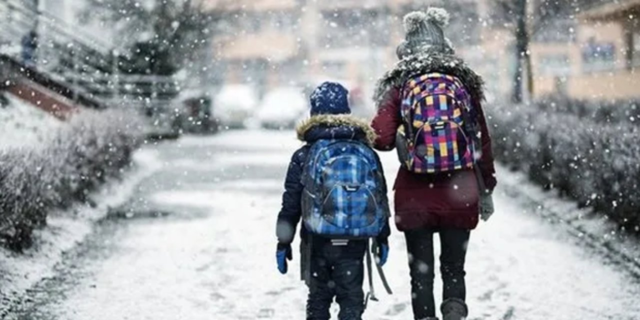 Giresun'da iki ilçede okullar tatil edildi