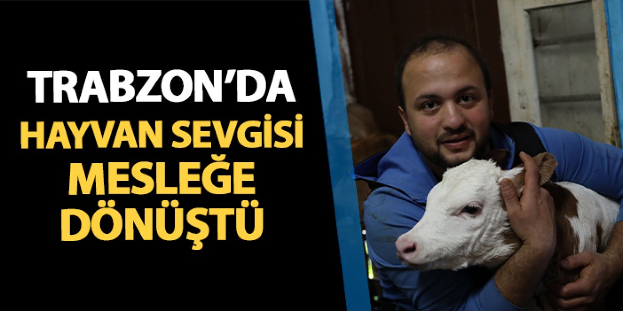 Trabzon'da hayvan sevgisi mesleğe dönüştü