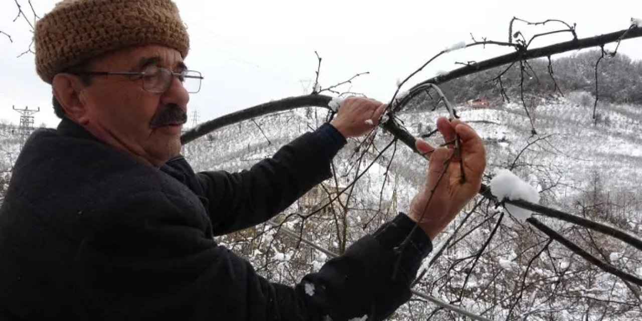 Giresun’da kar yağışı fındık üreticilerini sevindirdi!