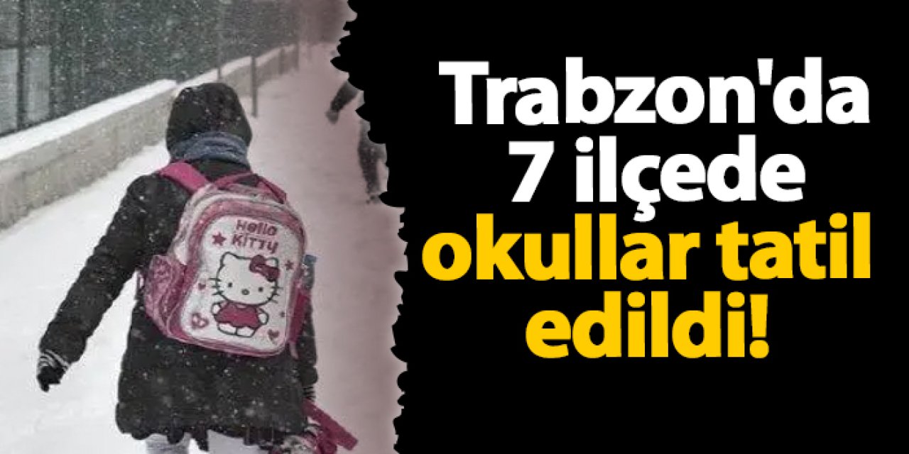 Trabzon'da 7 ilçede okullar tatil edildi!