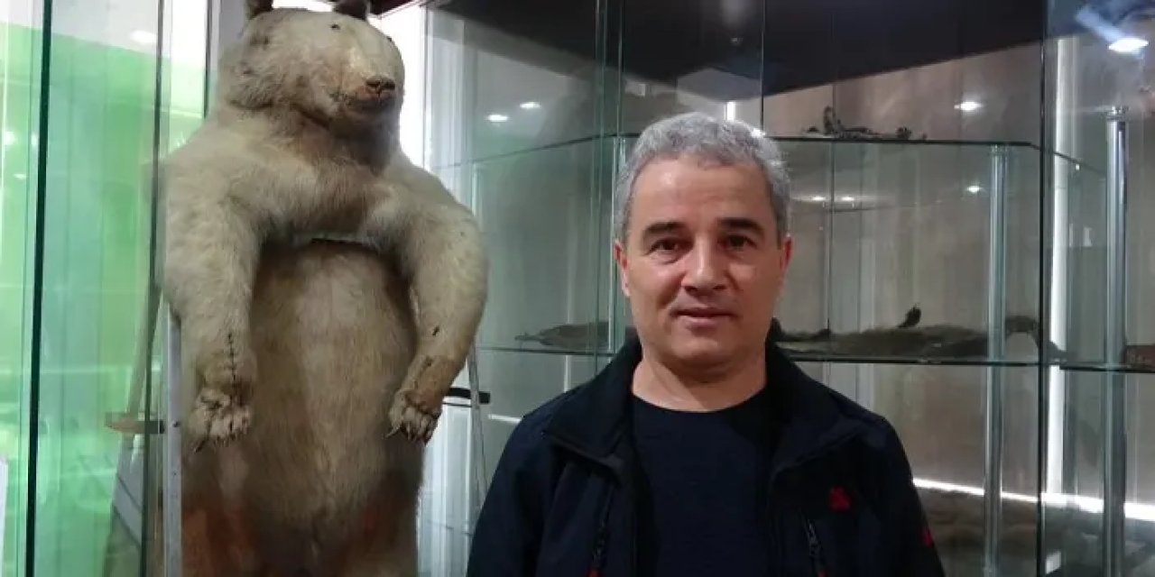 KTÜ’den uyarı geldi! “Yabani hayvanlara besin bırakmayın”