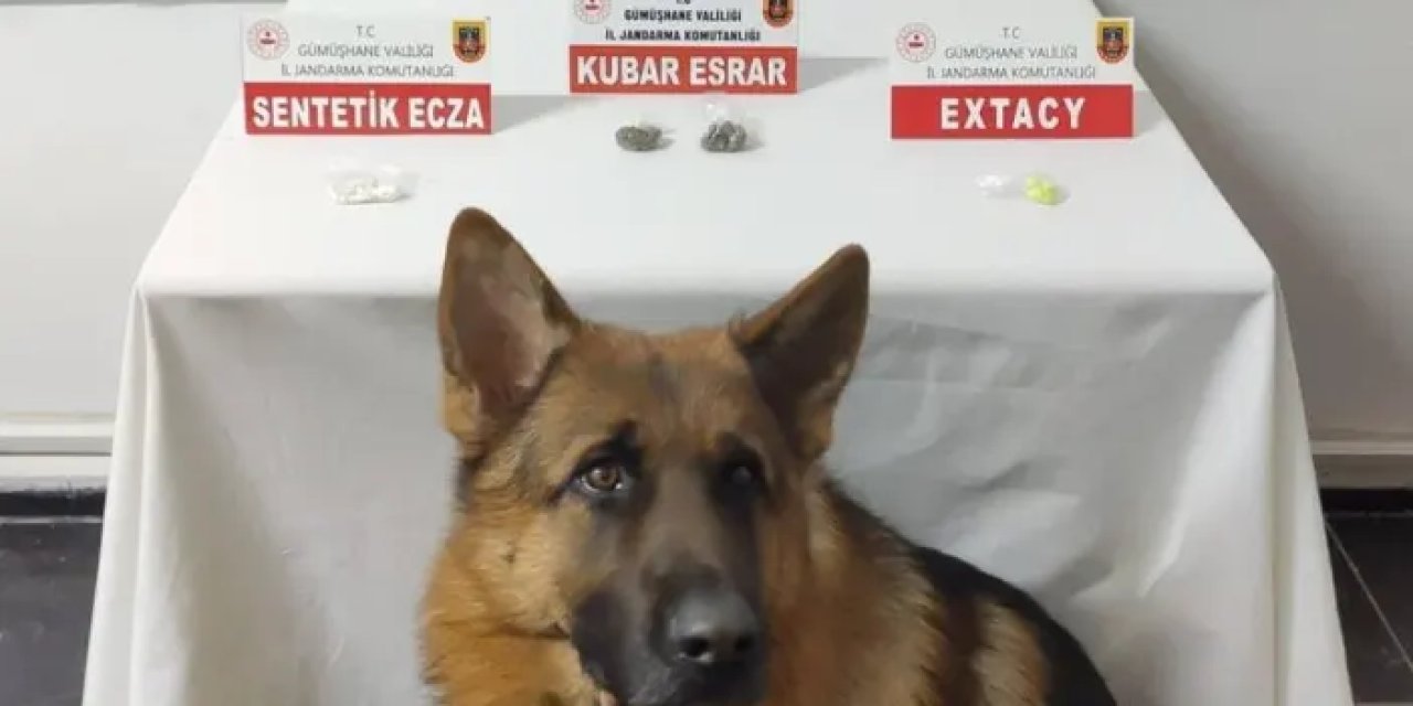 Rize’den Gümüşhane’ye uyuşturucu getirenler yakayı ele verdi!