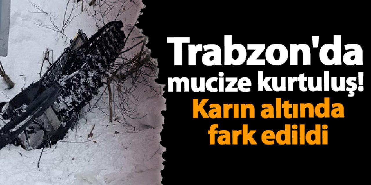 Trabzon'da mucize kurtuluş!  Karın altında fark edildi
