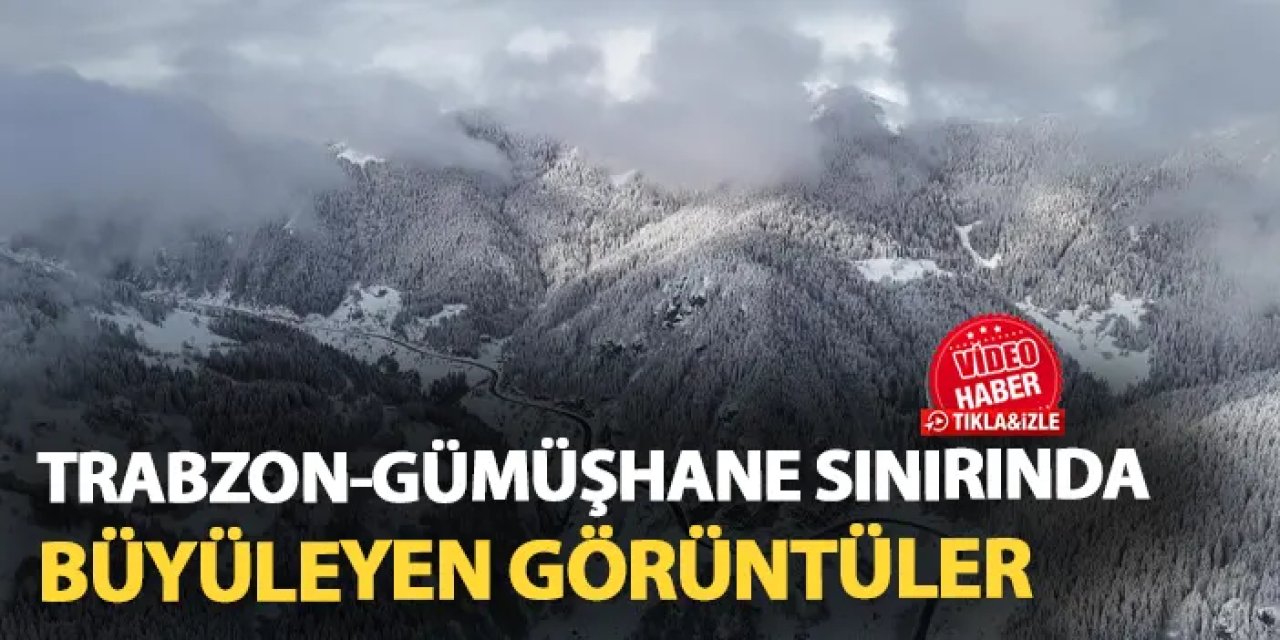 Trabzon-Gümüşhane sınırında hayran bırakan kar manzaraları