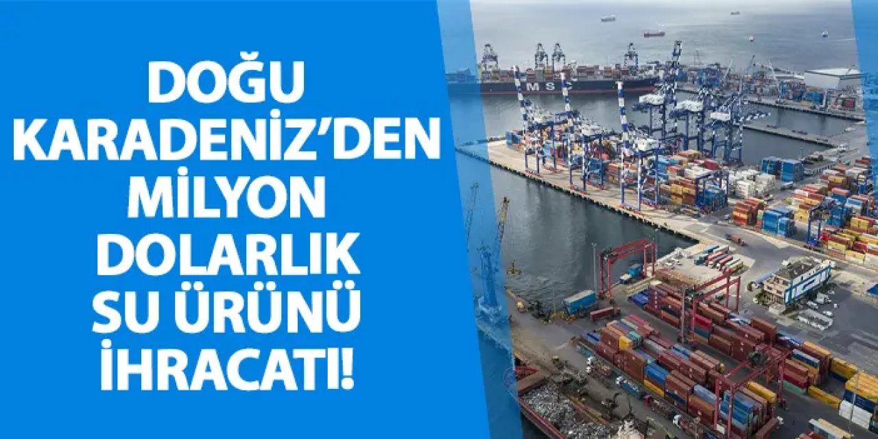 Doğu Karadeniz’den milyon dolarlık su ürünü ihracatı!