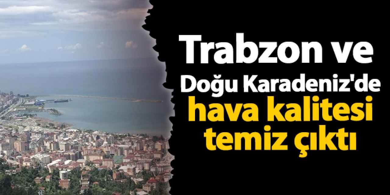 Trabzon ve Doğu Karadeniz'de hava kalitesi temiz çıktı